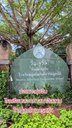741004.jpg