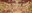 สังคมมลายู.jpg