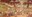 สังคมมลายู_567x313.jpg